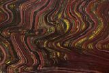 Polished Tiger Iron Stromatolite - Billion Years #129314-1